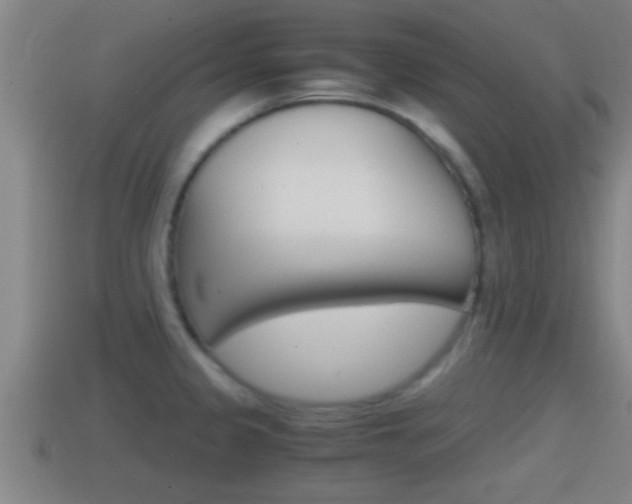 X0000114411333200910161023