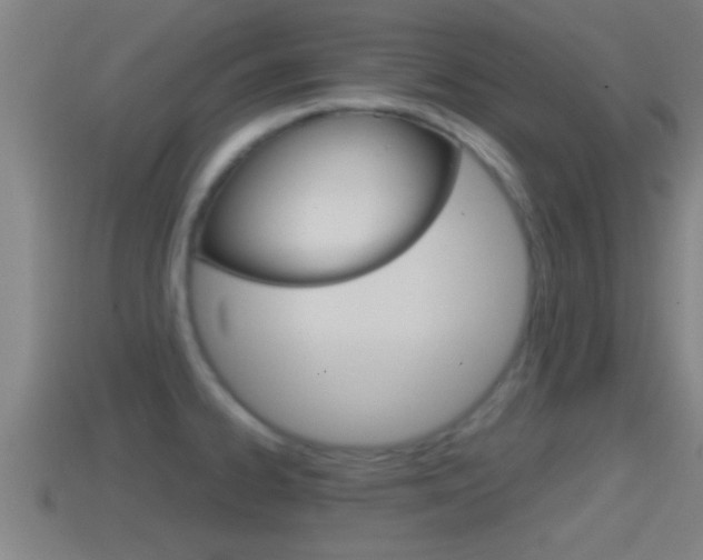 X0000114411334200910161023