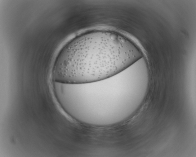 X0000114411335200910161023