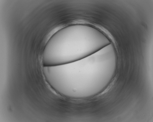 X0000114411337200910161023