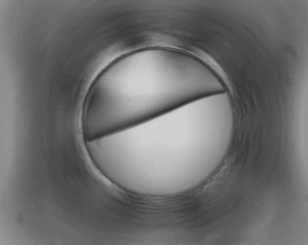 X0000114411339200910161023