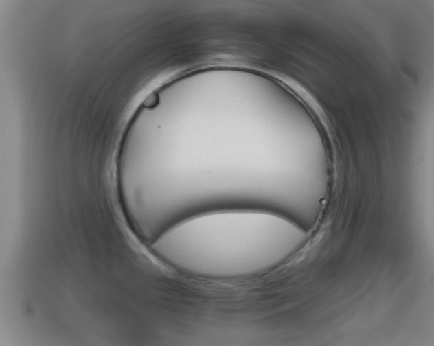 X0000114411341200910161023
