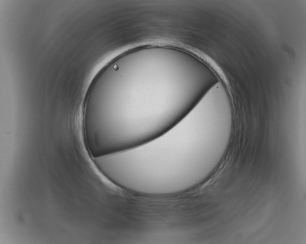 X0000114411343200910161023