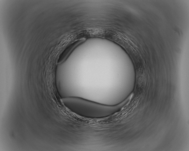 X0000114411345200910161022