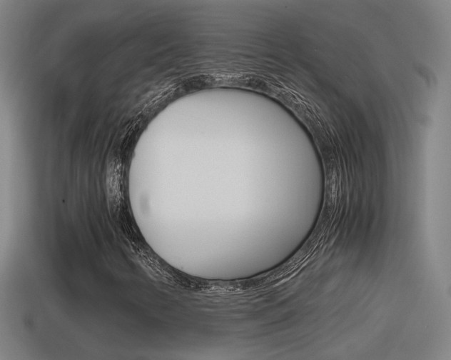 X0000114411346200910161022