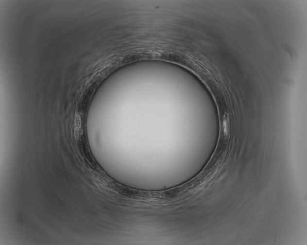 X0000114411347200910161022