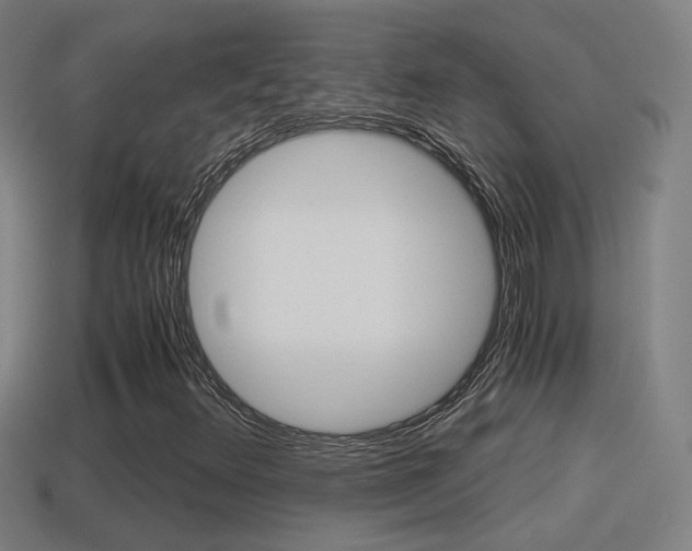 X0000114411348200910161022