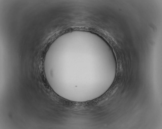 X0000114411350200910161022