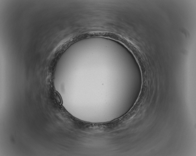 X0000114411351200910161022