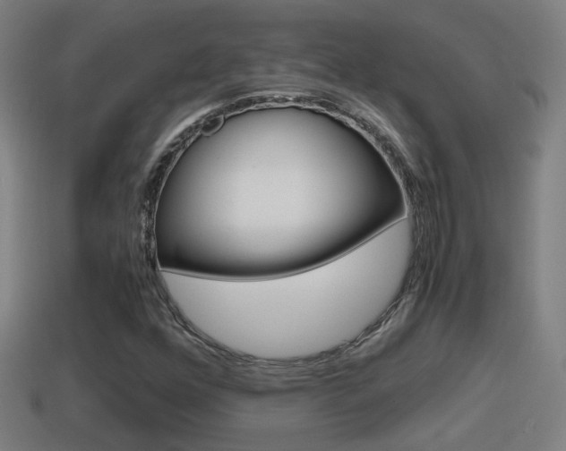 X0000114411352200910161022