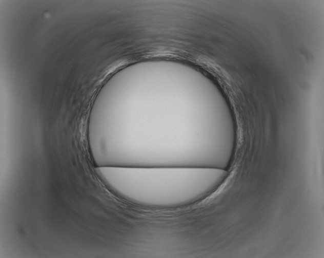 X0000114411353200910161022