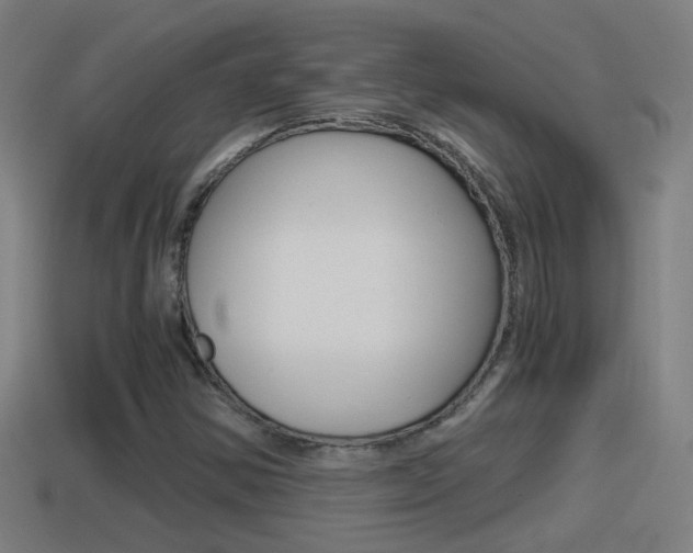 X0000114411354200910161022