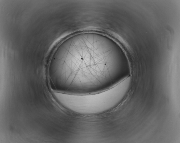 X0000114411356200910161022