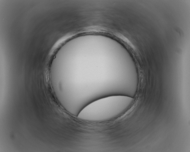 X0000114411358200910161022