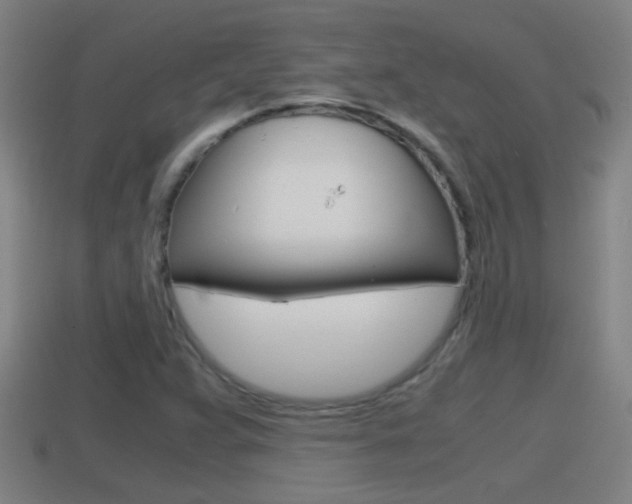 X0000114411359200910161022