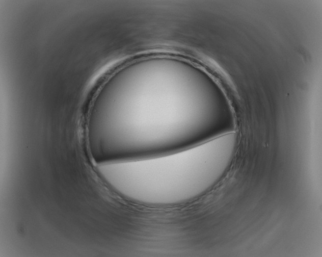 X0000114411360200910161022