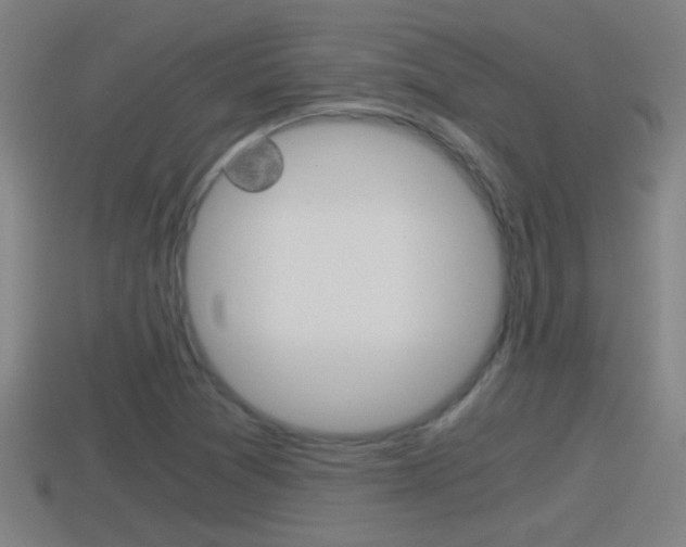 X0000114411361200910161022