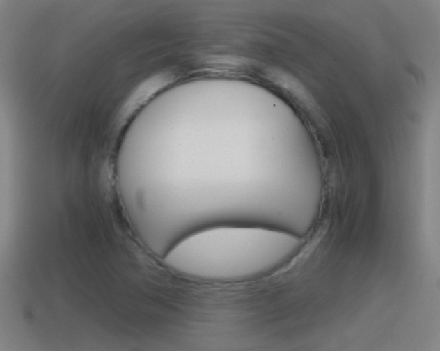 X0000114411362200910161022