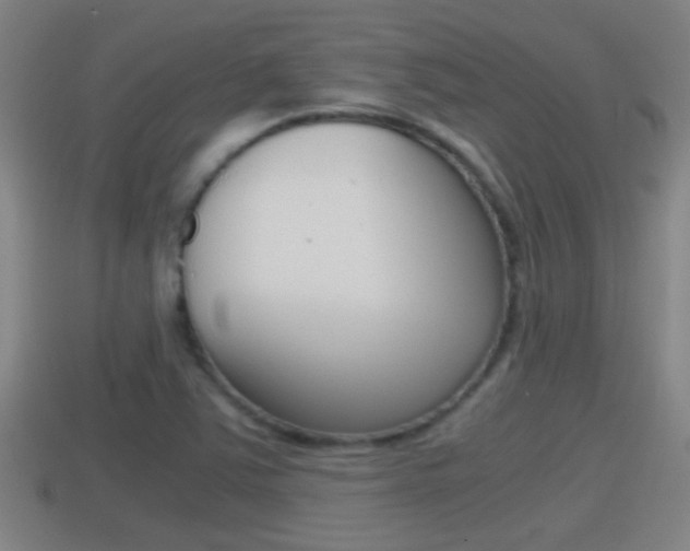 X0000114411363200910161022