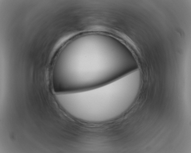 X0000114411364200910161022