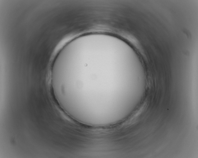 X0000114411366200910161022