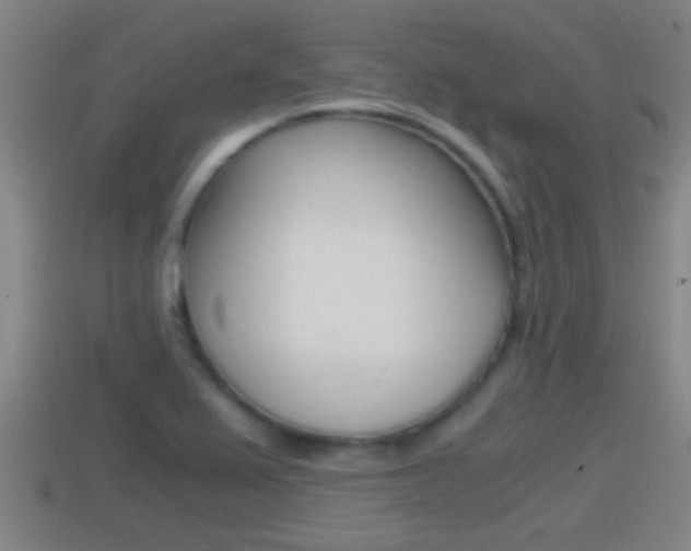 X0000114411367200910161022