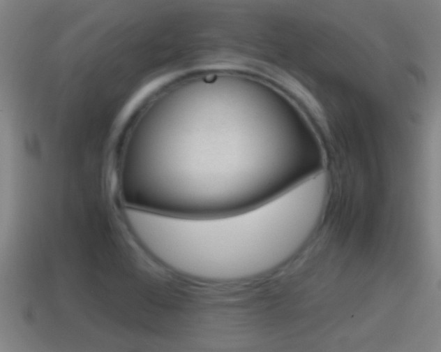 X0000114411368200910161022