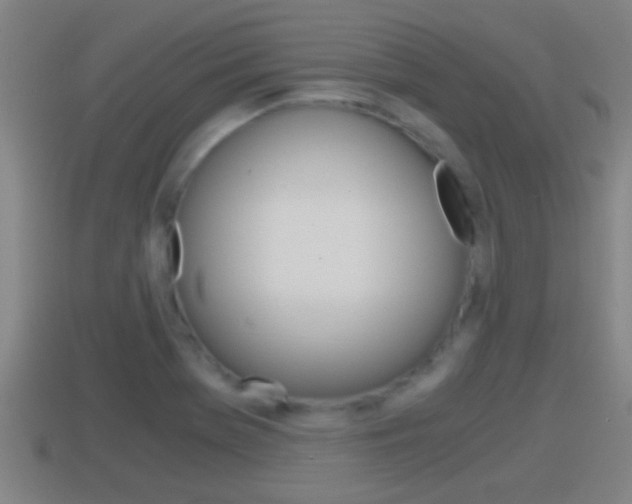 X0000114411369200910161022