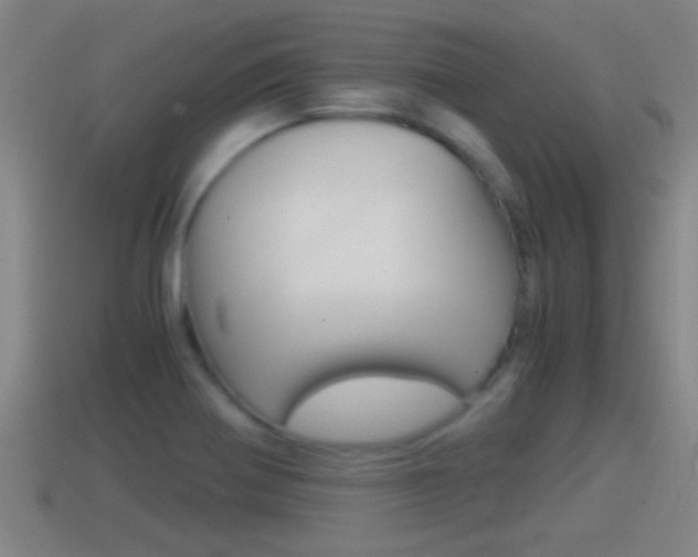 X0000114411370200910161022