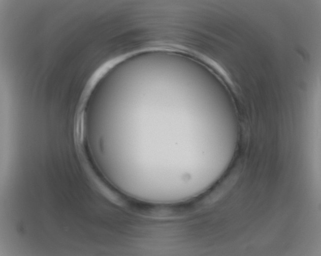 X0000114411371200910161022