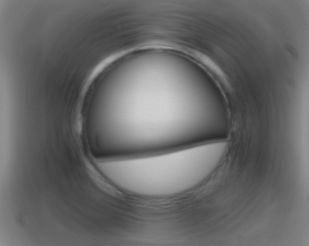X0000114411372200910161022