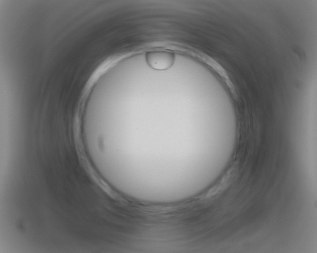 X0000114411373200910161022