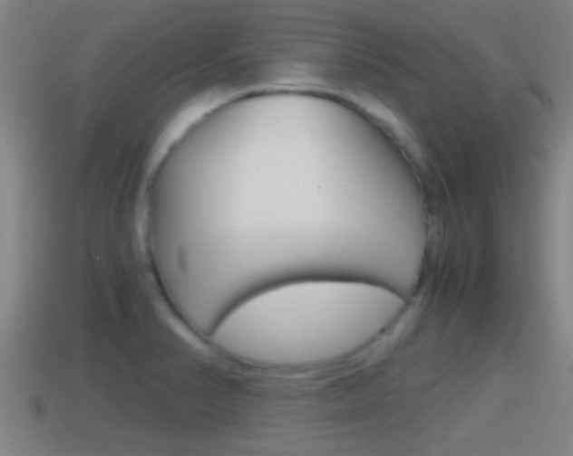 X0000114411374200910161022