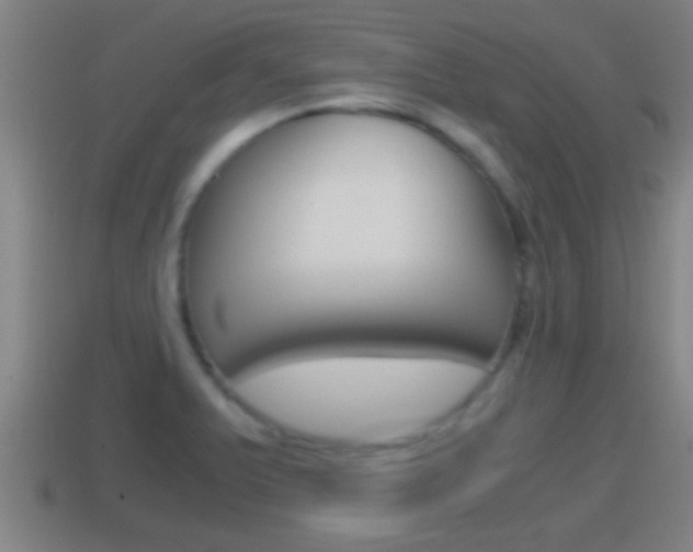 X0000114411375200910161022
