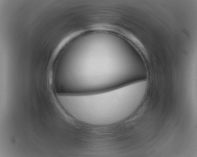 X0000114411376200910161022
