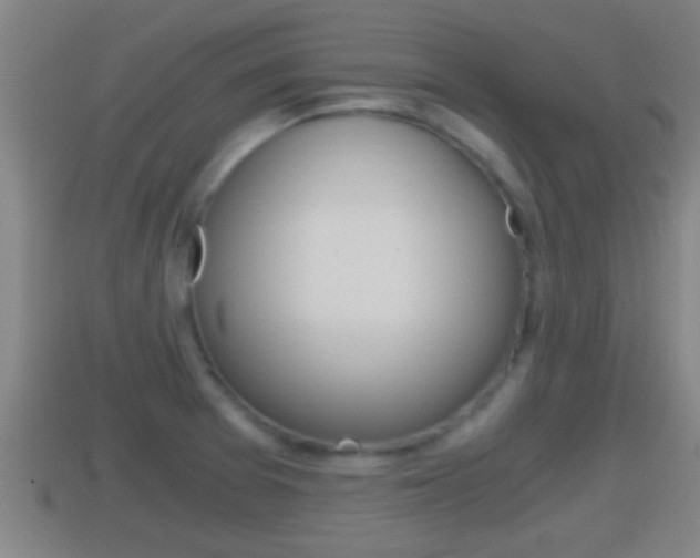 X0000114411377200910161022