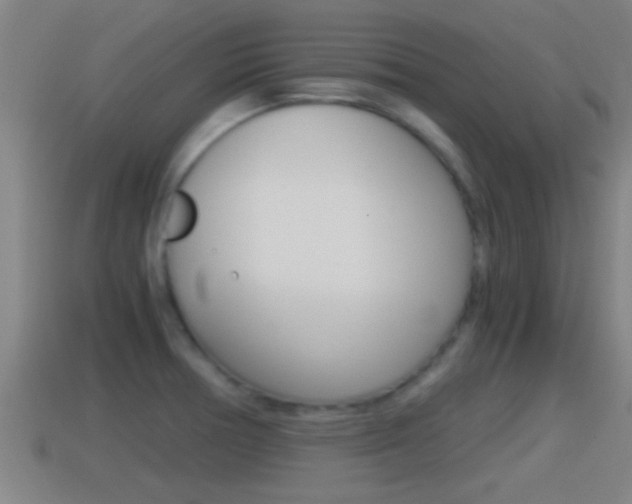 X0000114411378200910161022