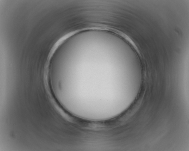 X0000114411379200910161022