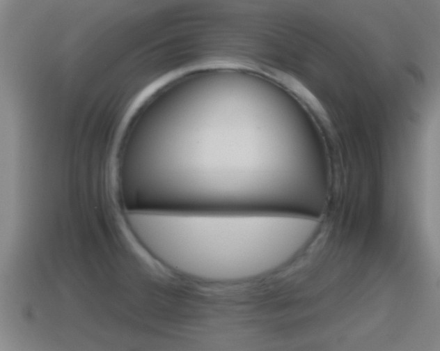 X0000114411380200910161022