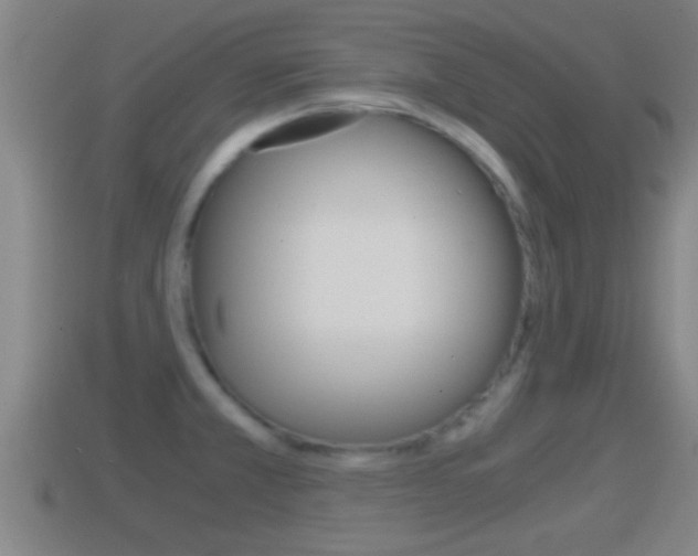X0000114411381200910161022