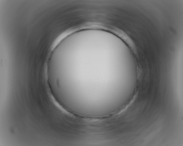X0000114411382200910161022