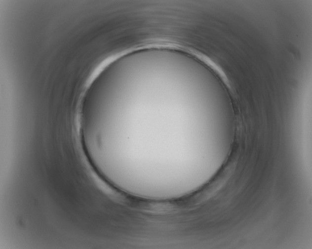 X0000114411383200910161022
