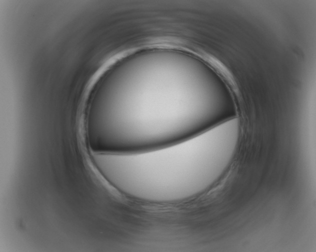 X0000114411384200910161022