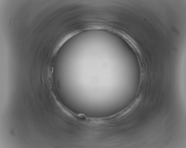 X0000114411385200910161022