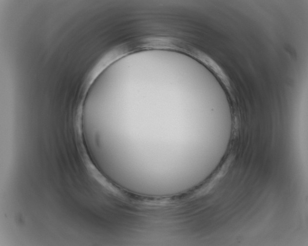 X0000114411386200910161022