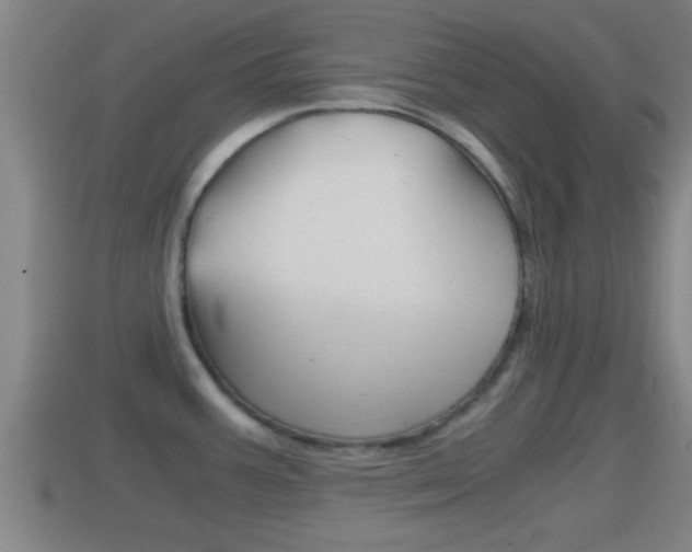 X0000114411387200910161022