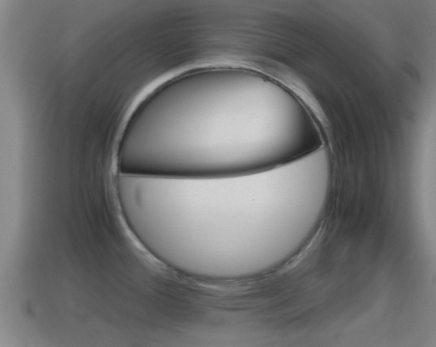 X0000114411388200910161022
