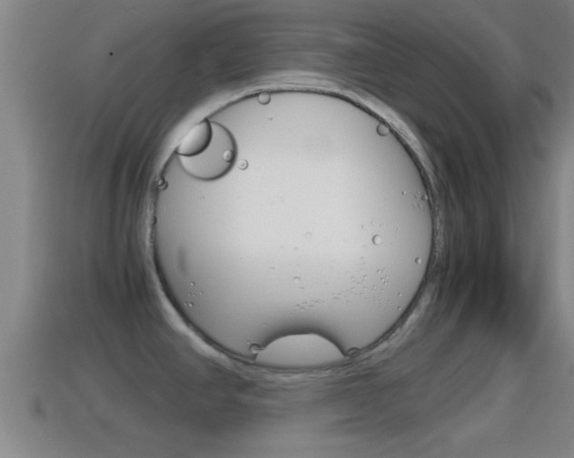 X0000114411390200910161022