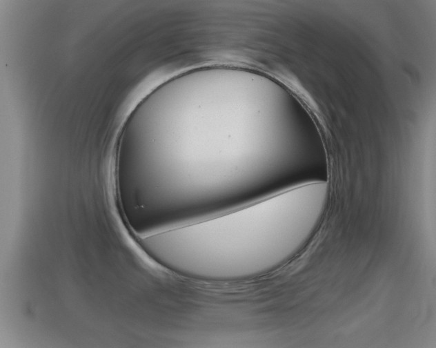X0000114411391200910161022