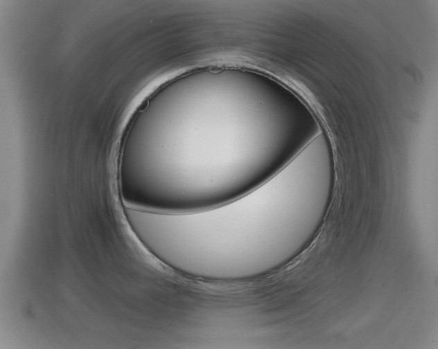 X0000114411392200910161022